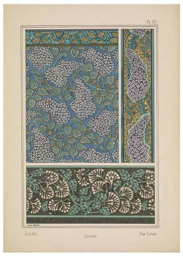 Reproducción/Reproduction 48308950691: La plante et ses applications ornementales /. Paris :Librairie Centrale des Beaux-Arts, E. Lévy, éditeur ...[1896]. 