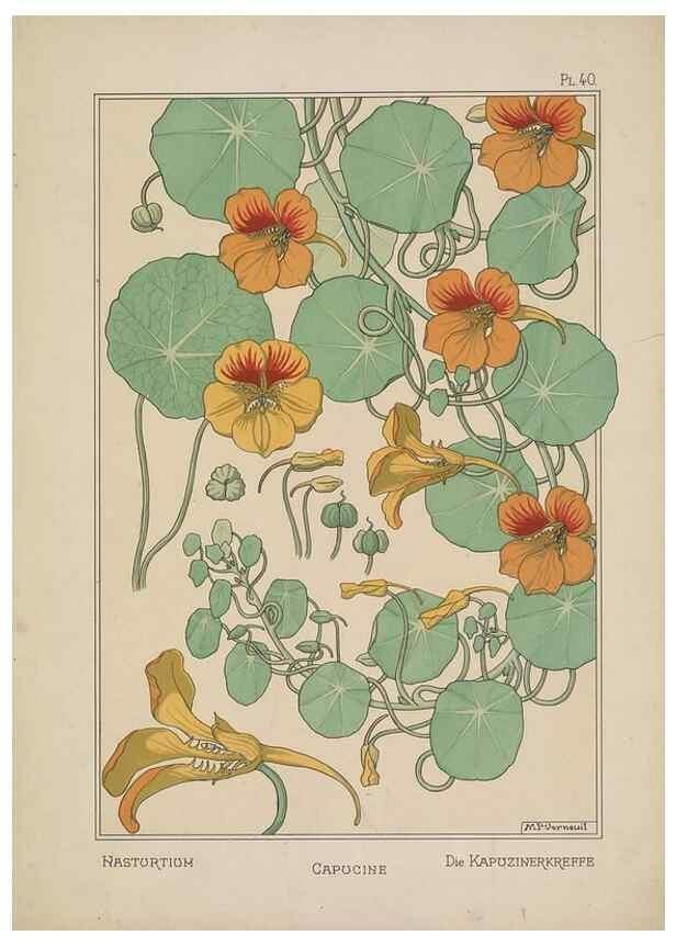 Reproducción/Reproduction 48309058837: La plante et ses applications ornementales /. Paris :Librairie Centrale des Beaux-Arts, E. Lévy, éditeur ...[1896]. 