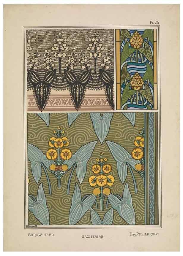 Reproducción/Reproduction 48309053647: La plante et ses applications ornementales /. Paris :Librairie Centrale des Beaux-Arts, E. Lévy, éditeur ...[1896]. 