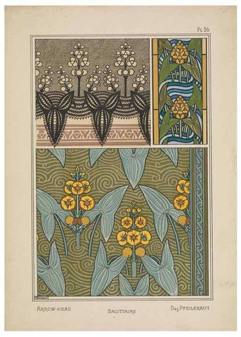 Reproducción/Reproduction 48309053647: La plante et ses applications ornementales /. Paris :Librairie Centrale des Beaux-Arts, E. Lévy, éditeur ...[1896]. 