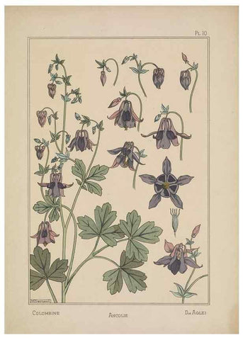 Reproducción/Reproduction 48308937236: La plante et ses applications ornementales /. Paris :Librairie Centrale des Beaux-Arts, E. Lévy, éditeur ...[1896]. 