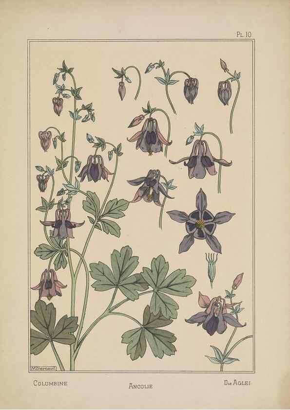 Reproducción/Reproduction 48308937236: La plante et ses applications ornementales /. Paris :Librairie Centrale des Beaux-Arts, E. Lévy, éditeur ...[1896]. 