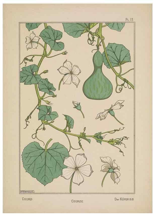 Reproducción/Reproduction 48308938466: La plante et ses applications ornementales /. Paris :Librairie Centrale des Beaux-Arts, E. Lévy, éditeur ...[1896]. 