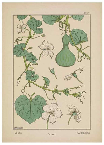 Reproducción/Reproduction 48308938466: La plante et ses applications ornementales /. Paris :Librairie Centrale des Beaux-Arts, E. Lévy, éditeur ...[1896]. 