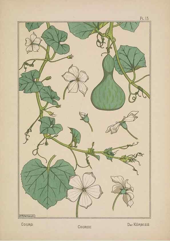 Reproducción/Reproduction 48308938466: La plante et ses applications ornementales /. Paris :Librairie Centrale des Beaux-Arts, E. Lévy, éditeur ...[1896]. 
