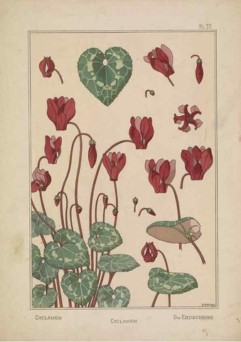 Reproducción/Reproduction 48308941461: La plante et ses applications ornementales /. Paris :Librairie Centrale des Beaux-Arts, E. Lévy, éditeur ...[1896]. 