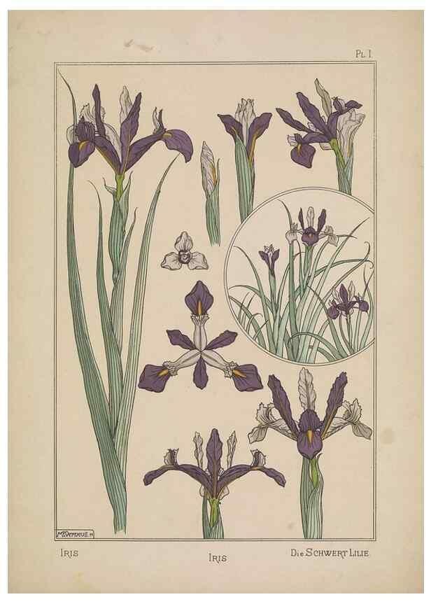Reproducción/Reproduction 48309045452: La plante et ses applications ornementales /. Paris :Librairie Centrale des Beaux-Arts, E. Lévy, éditeur ...[1896]. 