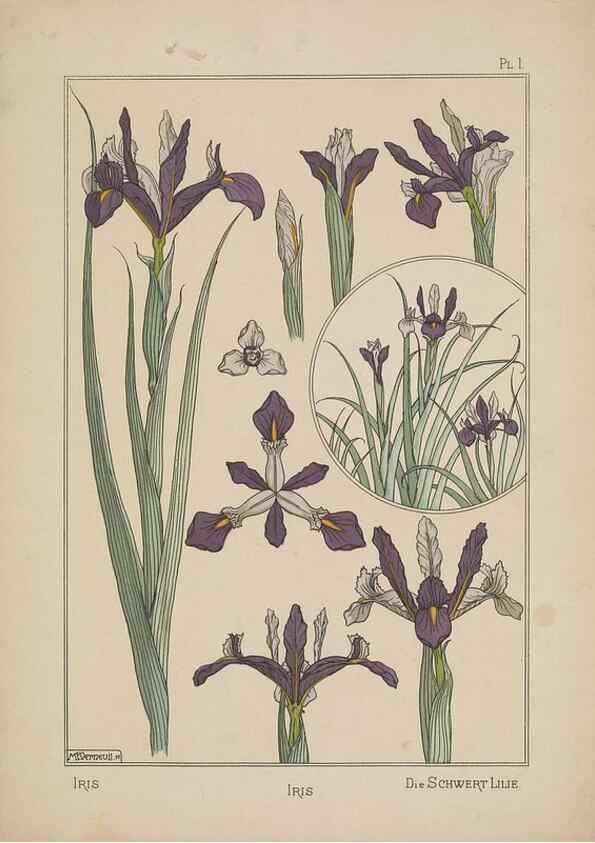Reproducción/Reproduction 48309045452: La plante et ses applications ornementales /. Paris :Librairie Centrale des Beaux-Arts, E. Lévy, éditeur ...[1896]. 