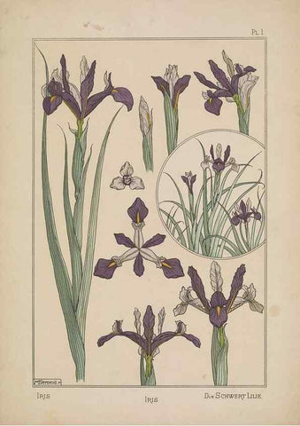 Reproducción/Reproduction 48309045452: La plante et ses applications ornementales /. Paris :Librairie Centrale des Beaux-Arts, E. Lévy, éditeur ...[1896]. 