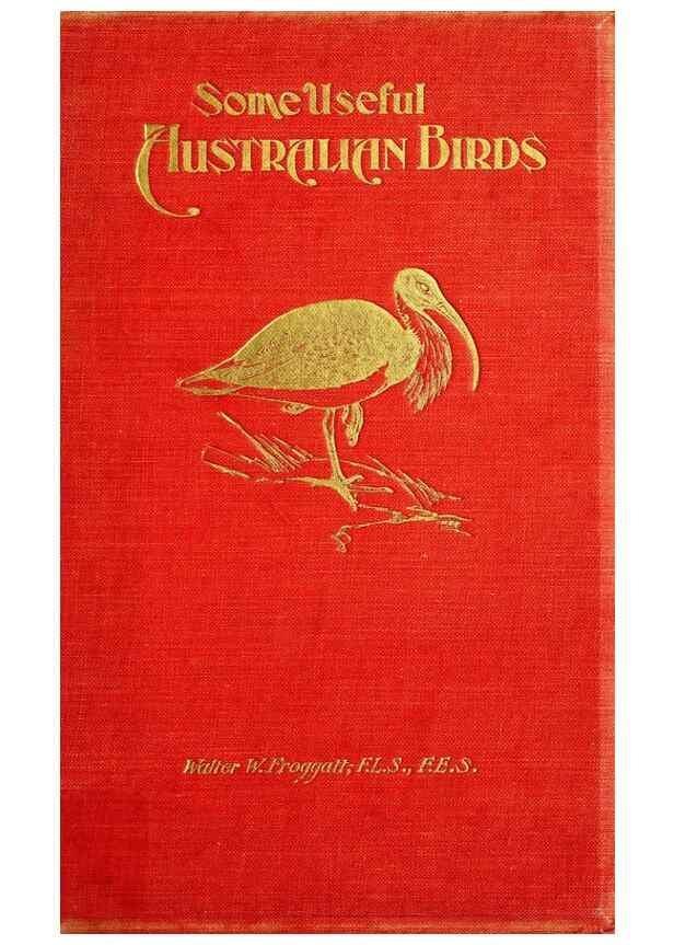 Reproducción/Reproduction 48307565481: Some useful Australian birds /. Sydney :W.A. Gullick, Govt. Printer,1921.. 