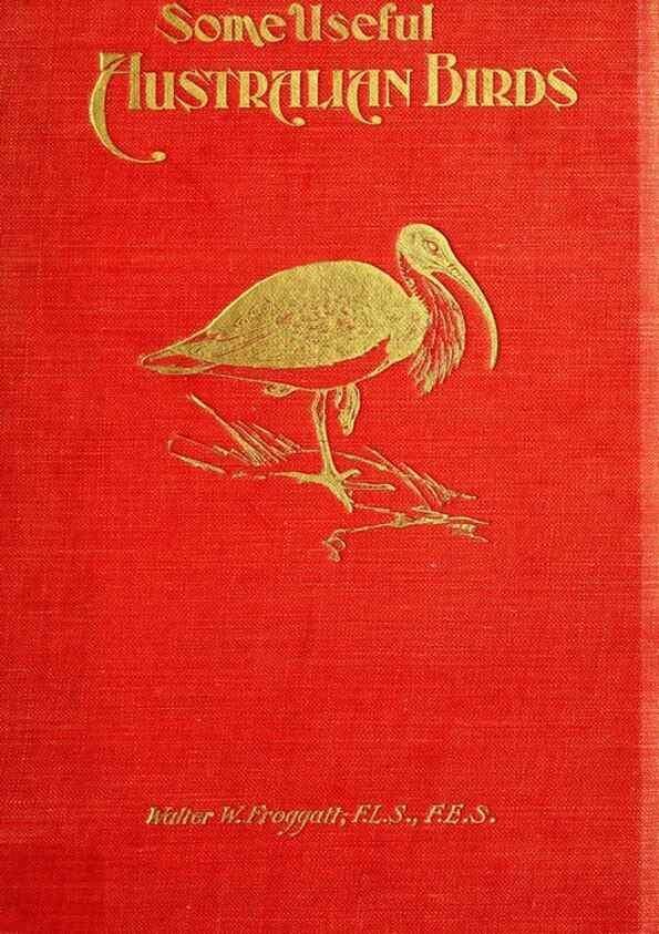 Reproducción/Reproduction 48307565481: Some useful Australian birds /. Sydney :W.A. Gullick, Govt. Printer,1921.. 
