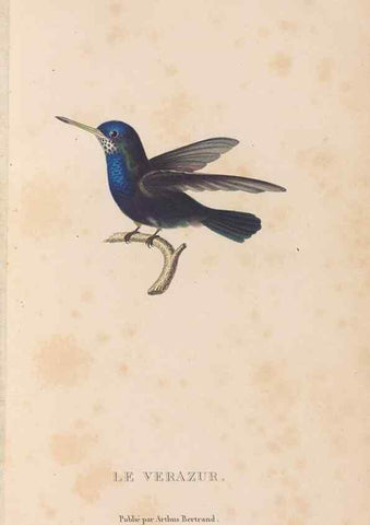 Reproducción/Reproduction 48307420571: Histoire naturelle des oiseaux-mouches :. Paris :Arthus Bertrand,[1829-1830].. 