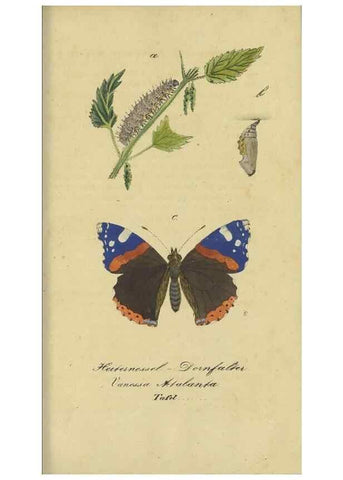 Reproducción/Reproduction 47016853024: Fauna Boica, oder, Gemeinnützige Naturgeschichte der Thiere Bayerns,. Nürnberg :In der C.H. Zeh'schen Buchhandlung,[1834]. 