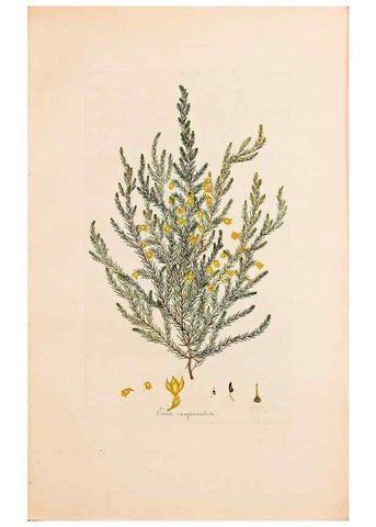 Reproducción/Reproduction 47051134664: Coloured engravings of heaths :. London :Published by the Author. Printed by T. Bensley,1802-09 [1830?]. 