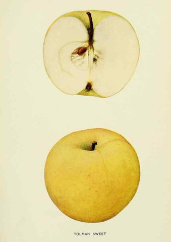Reproducción/Reproduction 41737548514: The apples of New York,. Albany,J. B. Lyon Co., Printers,1905.. 