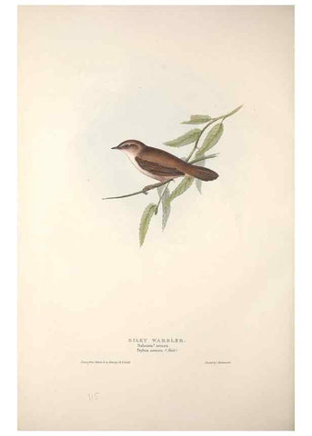 Reproducción/Reproduction 46052438314: The birds of Europe.. London,Printed by R. and J.E. Taylor, pub. by the author,1837.. 