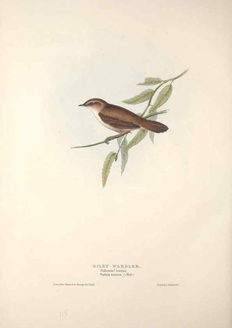 Reproducción/Reproduction 46052438314: The birds of Europe.. London,Printed by R. and J.E. Taylor, pub. by the author,1837.. 