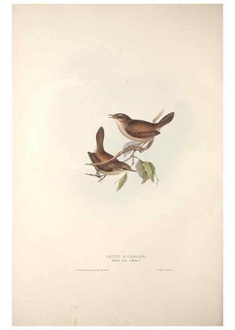 Reproducción/Reproduction 31835825957: The birds of Europe.. London,Printed by R. and J.E. Taylor, pub. by the author,1837.. 