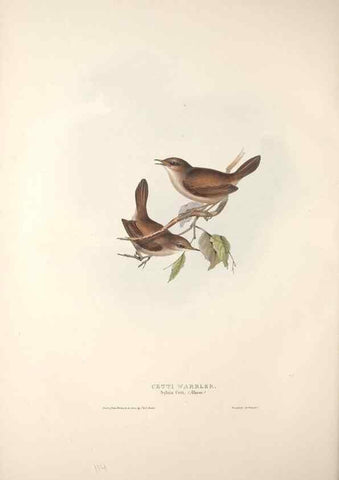 Reproducción/Reproduction 31835825957: The birds of Europe.. London,Printed by R. and J.E. Taylor, pub. by the author,1837.. 