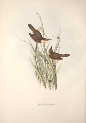Reproducción/Reproduction 31835811847: The birds of Europe.. London,Printed by R. and J.E. Taylor, pub. by the author,1837.. 