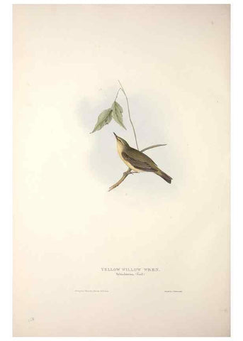 Reproducción/Reproduction 39812237273: The birds of Europe.. London,Printed by R. and J.E. Taylor, pub. by the author,1837.. 