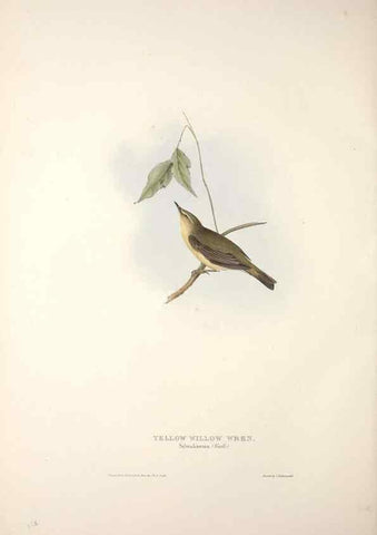 Reproducción/Reproduction 39812237273: The birds of Europe.. London,Printed by R. and J.E. Taylor, pub. by the author,1837.. 