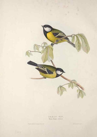 Reproducción/Reproduction 46724996922: The birds of Europe.. London,Printed by R. and J.E. Taylor, pub. by the author,1837.. 