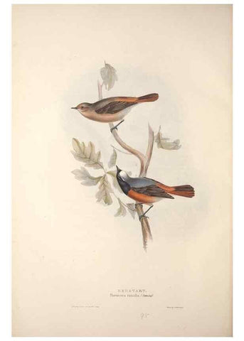 Reproducción/Reproduction 32901862158: The birds of Europe.. London,Printed by R. and J.E. Taylor, pub. by the author,1837.. 