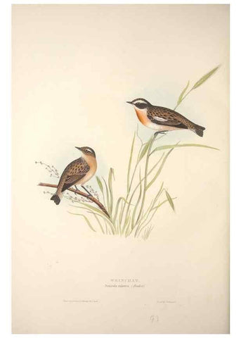 Reproducción/Reproduction 45862473285: The birds of Europe.. London,Printed by R. and J.E. Taylor, pub. by the author,1837.. 