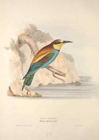 Reproducción/Reproduction 39812131853: The birds of Europe.. London,Printed by R. and J.E. Taylor, pub. by the author,1837.. 
