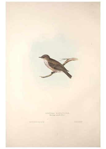 Reproducción/Reproduction 32901811048: The birds of Europe.. London,Printed by R. and J.E. Taylor, pub. by the author,1837.. 