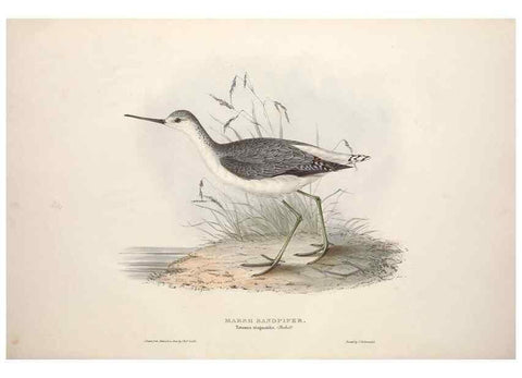 Reproducción/Reproduction 46725706322: The birds of Europe.. London,Printed by R. and J.E. Taylor, pub. by the author,1837.. 