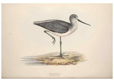 Reproducción/Reproduction 31836633197: The birds of Europe.. London,Printed by R. and J.E. Taylor, pub. by the author,1837.. 