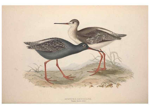 Reproducción/Reproduction 46778440381: The birds of Europe.. London,Printed by R. and J.E. Taylor, pub. by the author,1837.. 