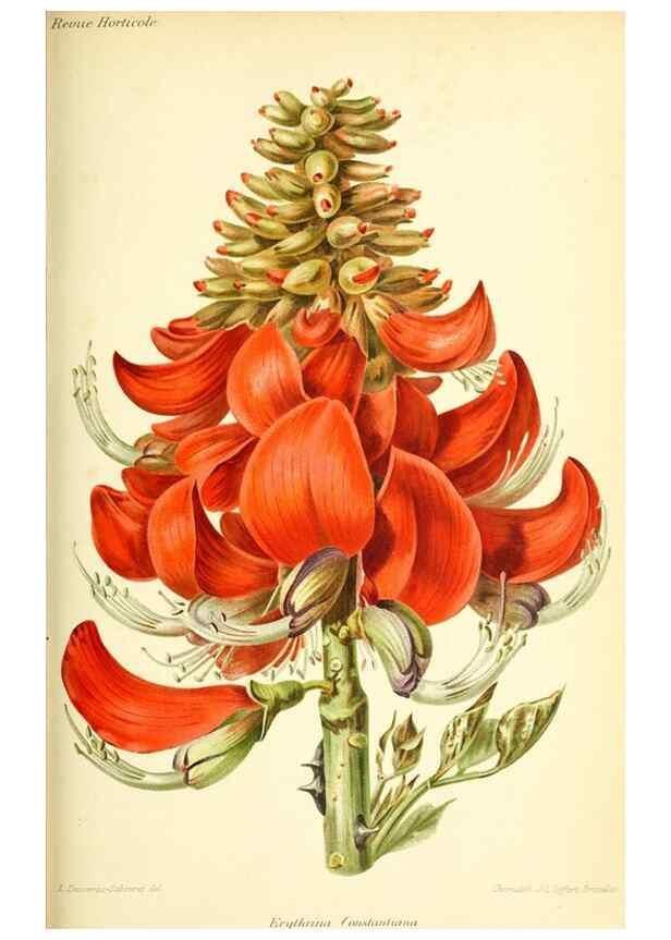 Reproducción/Reproduction 46652085672: Revue horticole.. Paris :Librairie agricole de la maison rustique,1829-1974.. 