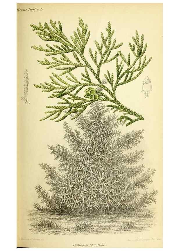 Reproducción/Reproduction 46704791411: Revue horticole.. Paris :Librairie agricole de la maison rustique,1829-1974.. 