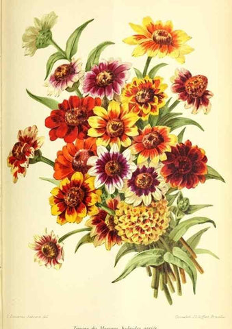 Reproducción/Reproduction 32830267468: Revue horticole.. Paris :Librairie agricole de la maison rustique,1829-1974.. 
