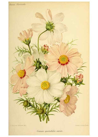 Reproducción/Reproduction 46704533551: Revue horticole.. Paris :Librairie agricole de la maison rustique,1829-1974.. 