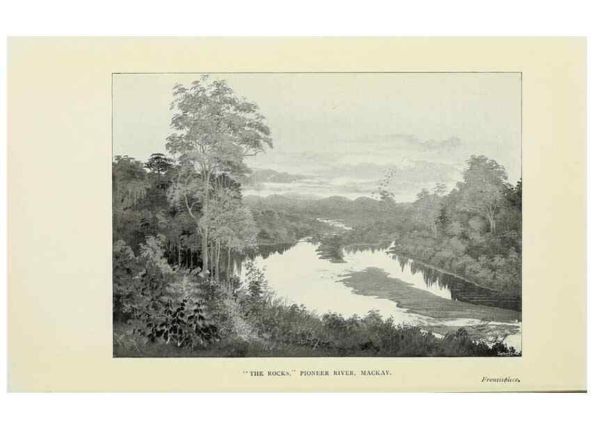 Reproducción/Reproduction 46702441852: A flower-hunter in Queensland & New Zealand,. London,J. Murray,1898.. 