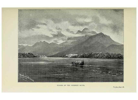 Reproducción/Reproduction 31813641867: A flower-hunter in Queensland & New Zealand,. London,J. Murray,1898.. 