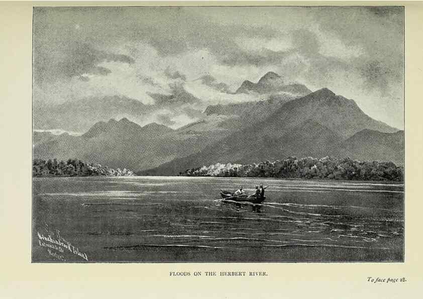 Reproducción/Reproduction 31813641867: A flower-hunter in Queensland & New Zealand,. London,J. Murray,1898.. 