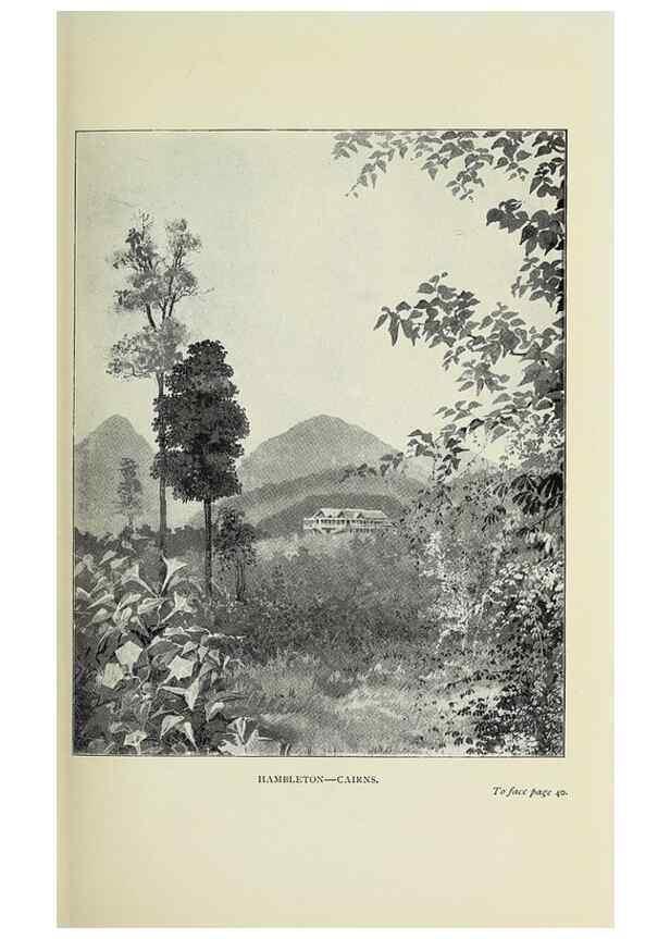 Reproducción/Reproduction 31813642967: A flower-hunter in Queensland & New Zealand,. London,J. Murray,1898.. 