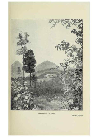 Reproducción/Reproduction 31813642967: A flower-hunter in Queensland & New Zealand,. London,J. Murray,1898.. 