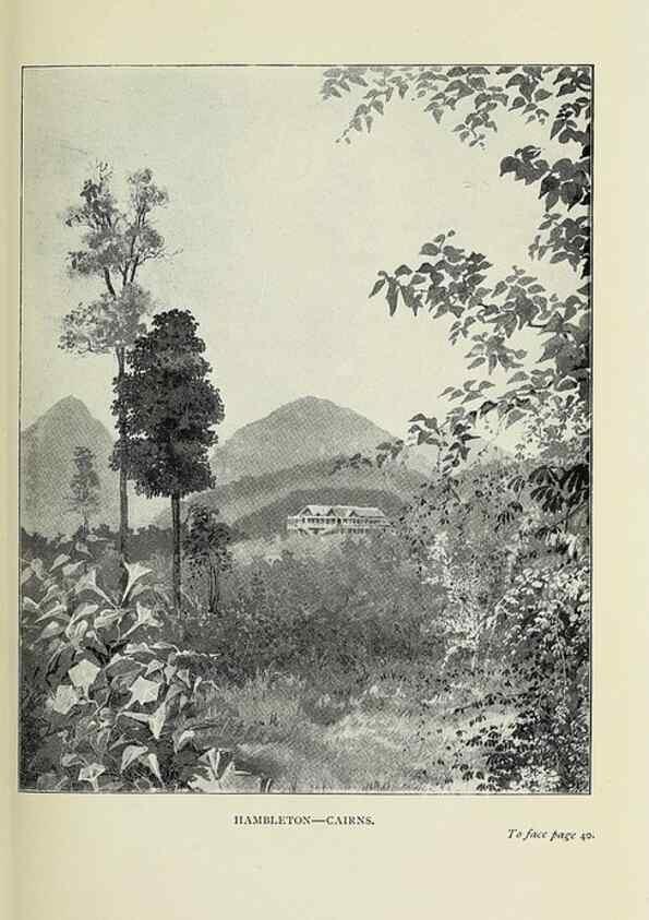 Reproducción/Reproduction 31813642967: A flower-hunter in Queensland & New Zealand,. London,J. Murray,1898.. 