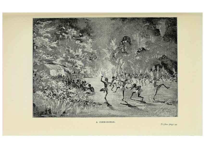 Reproducción/Reproduction 45840013835: A flower-hunter in Queensland & New Zealand,. London,J. Murray,1898.. 