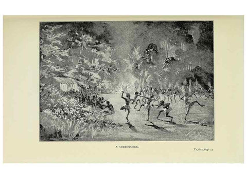 Reproducción/Reproduction 45840013835: A flower-hunter in Queensland & New Zealand,. London,J. Murray,1898.. 