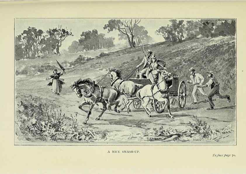 Reproducción/Reproduction 46702455222: A flower-hunter in Queensland & New Zealand,. London,J. Murray,1898.. 