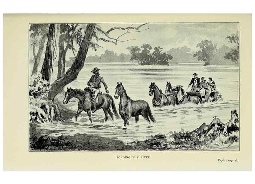 Reproducción/Reproduction 46702457012: A flower-hunter in Queensland & New Zealand,. London,J. Murray,1898.. 