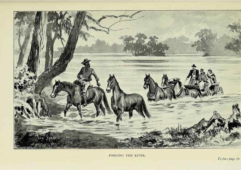 Reproducción/Reproduction 46702457012: A flower-hunter in Queensland & New Zealand,. London,J. Murray,1898.. 