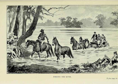 Reproducción/Reproduction 46702457012: A flower-hunter in Queensland & New Zealand,. London,J. Murray,1898.. 